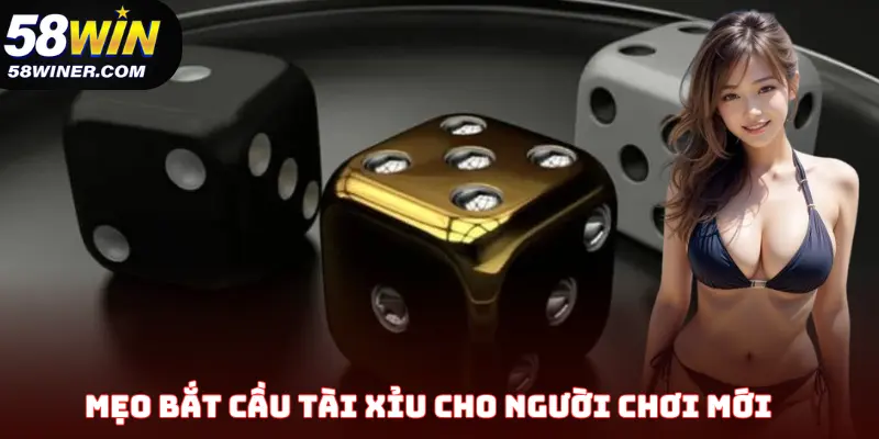 Mẹo bắt cầu tài xỉu hiệu quả cho người chơi mới