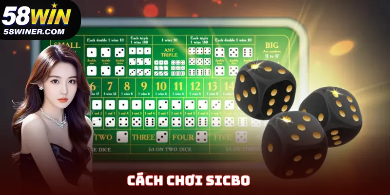 Cách Chơi Sicbo Luôn Thắng - Bí Kíp Săn Thưởng Khủng Tại 58Win