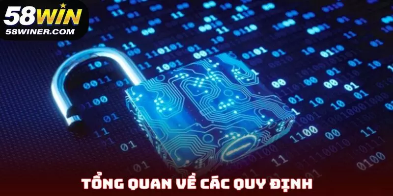 Tổng quan về các quy định trong chính sách bảo mật