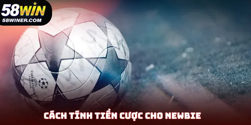Cách tính tiền cược cho newbie