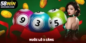 Nuôi Lô 3 Càng - Bật Mí Chiến Thuật Ăn Đậm Cho Newbie